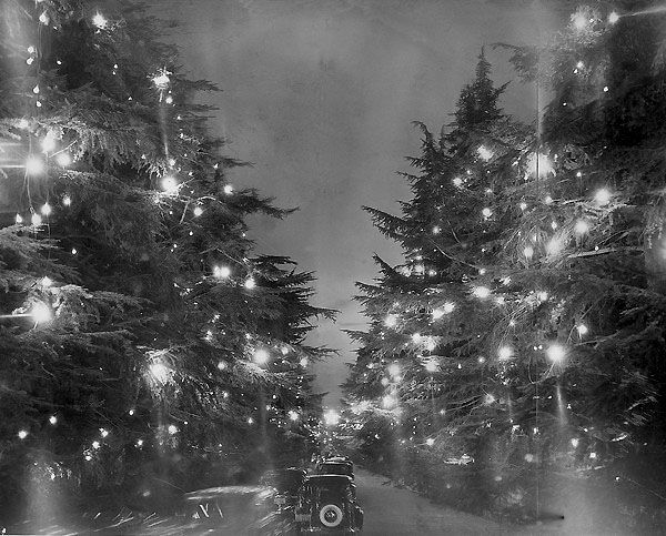 xmas tree lane 1938
