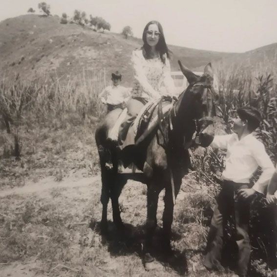 Viaje en burro